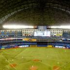 Blue Jays: 21 facts you need to know